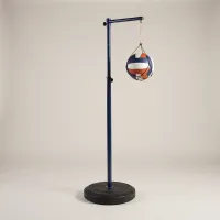 The Serve and Spike Tether